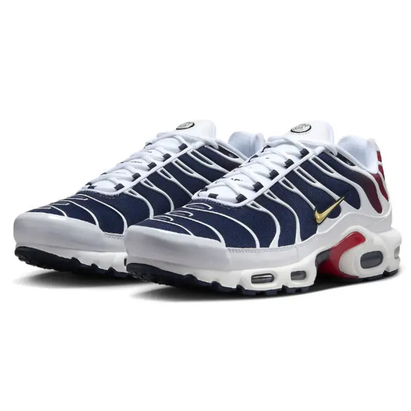 Men's Nike Air Max Plus TN 'PSG'
