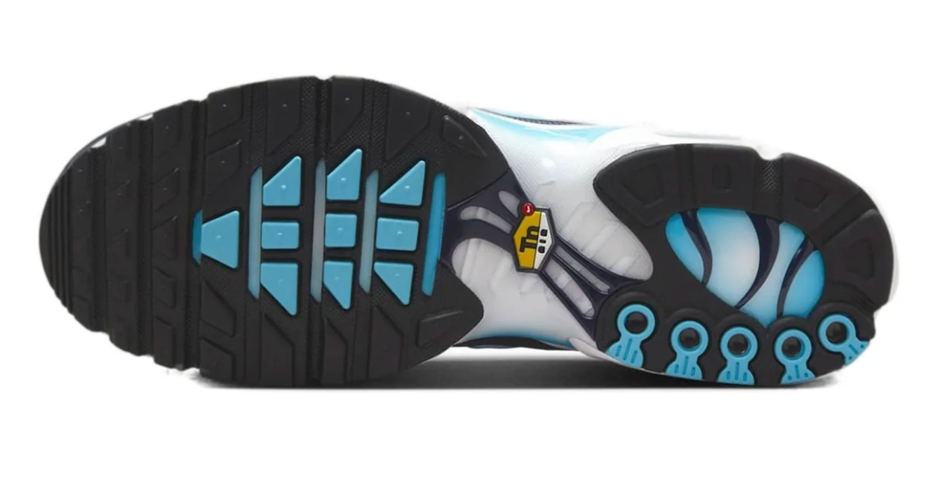 Men's Nike Air Max Plus TN 'Dark Obsidian'