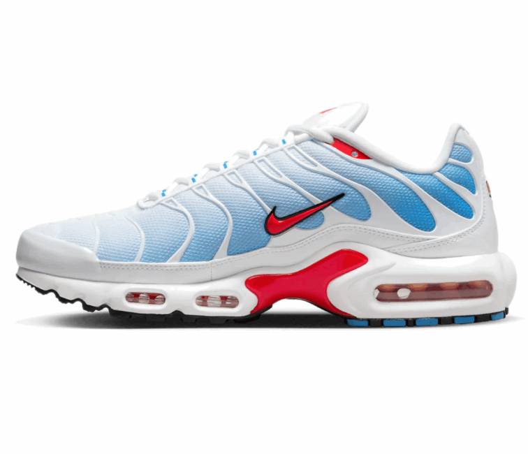 Men's Nike Air Max Plus TN 'Tide'