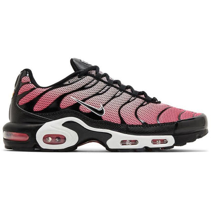 Men's Nike Air Max Plus 'All Day'
