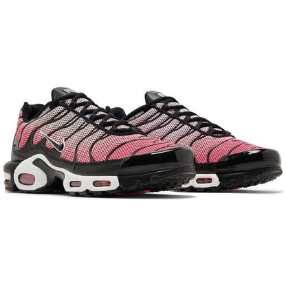 Men's Nike Air Max Plus 'All Day'