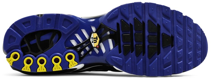 Men's Nike Air Max Plus TN 'Persian Violet'