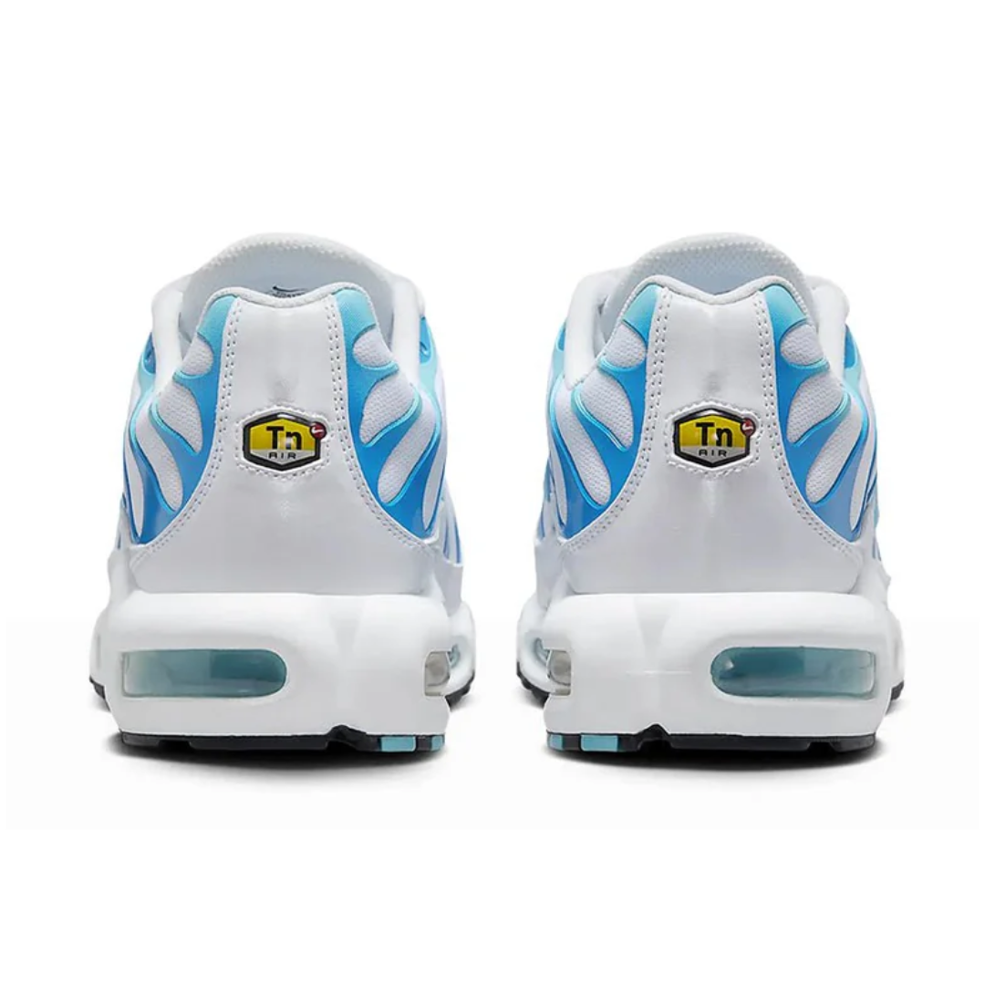 Men's Nike Air Max Plus TN 'Dreams'