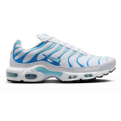 Men's Nike Air Max Plus TN 'Dreams'