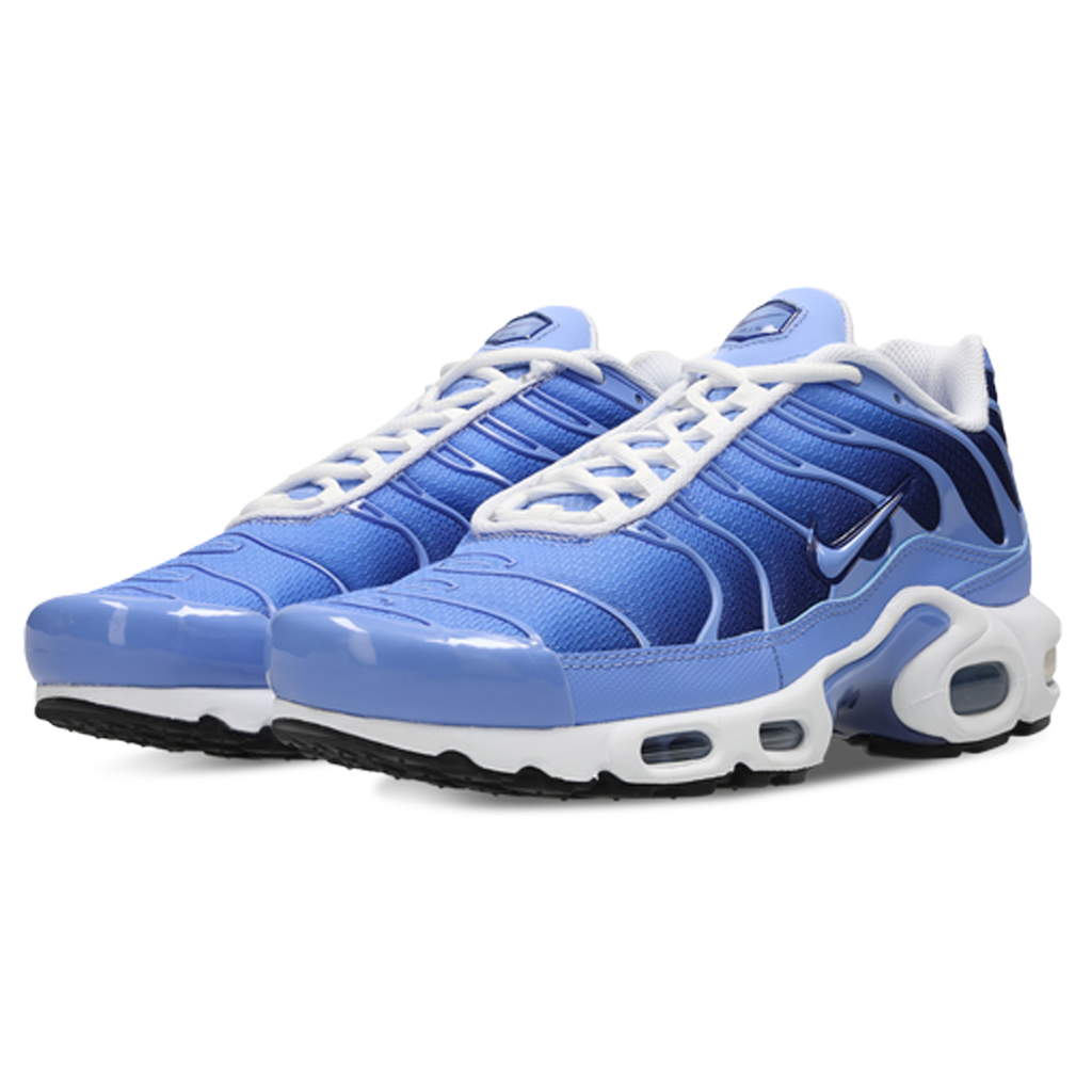 Men's Nike Air Max Plus TN 'Royal Pulse'