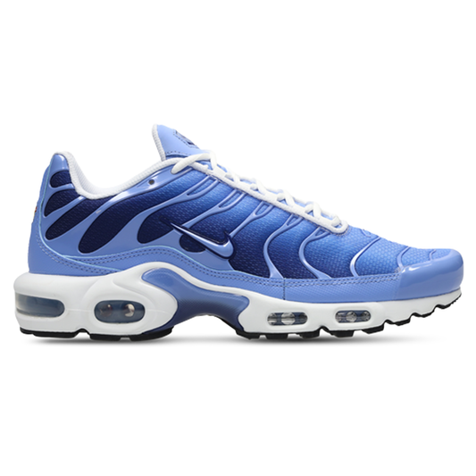 Men's Nike Air Max Plus TN 'Royal Pulse'