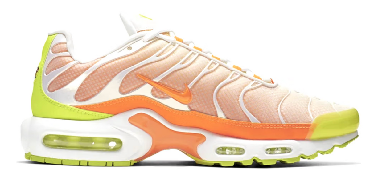 Men's Nike Air Max Plus TN 'Light Colourfilp'