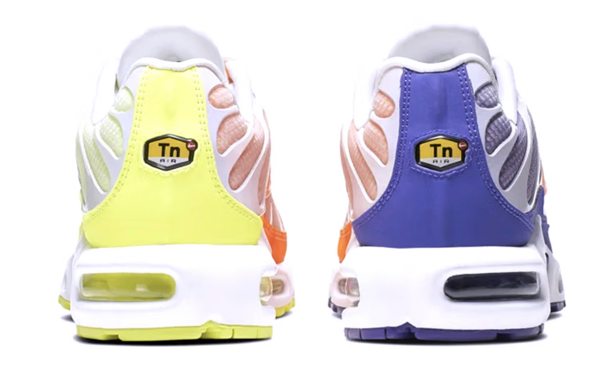Men's Nike Air Max Plus TN 'Light Colourfilp'