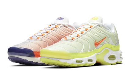 Men's Nike Air Max Plus TN 'Light Colourfilp'