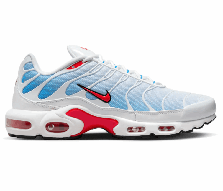 Men's Nike Air Max Plus TN 'Tide'