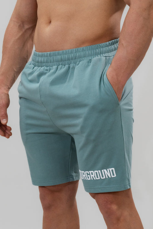 UG Relaxed Fit Shorts X Slate Blue